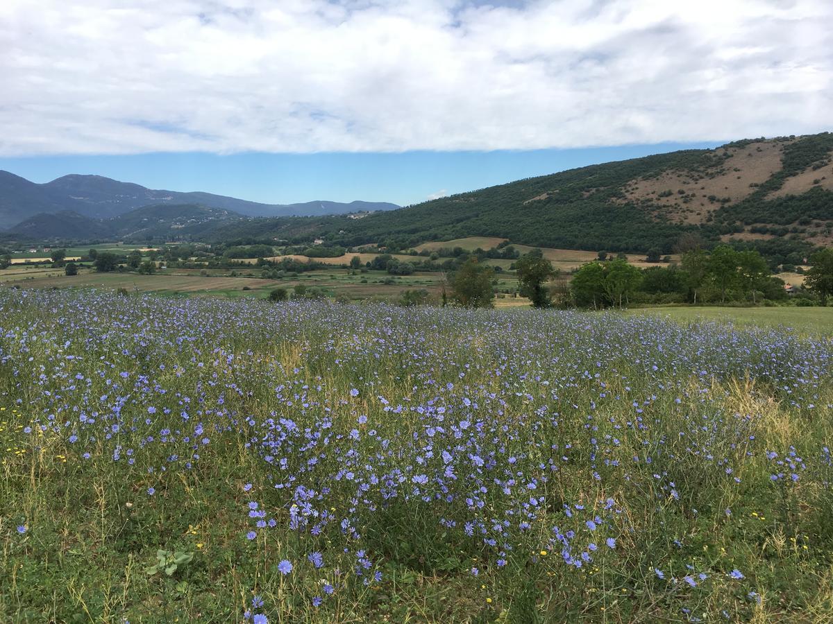 Tenuta Due Laghi Rivodutri Esterno foto